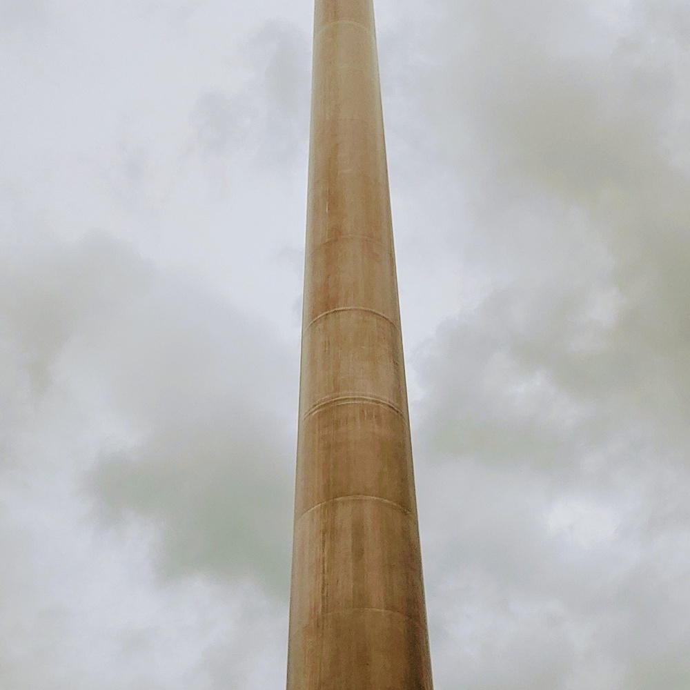 Meet your Posher, Shelley